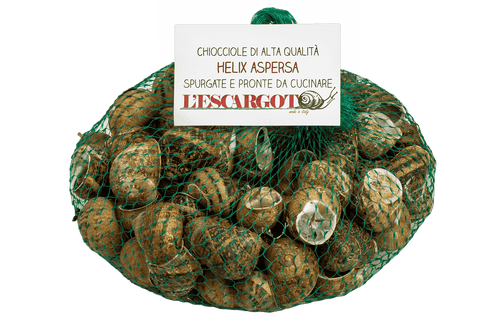 Lumache Helix Aspersa vive spurgate